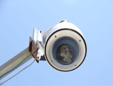 Muğla`da Ormanları Gözetleyen Kamera Sayısı 12`ye Çıktı