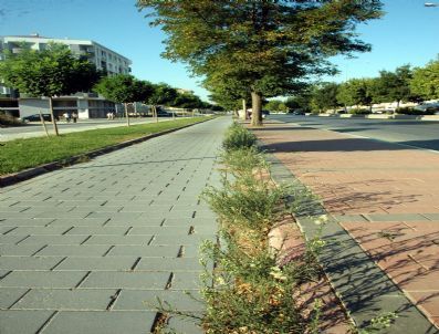 Troya Caddesi’nde Görüntü Kirliliği