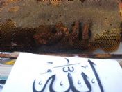 Arılar Petek Üzerinde `allah` Yazdı