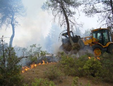 KOCAPıNAR - Bursa`da Orman Yangını