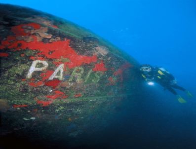 Çomü Sualtı Topluluğu 10.yılını Kutluyor