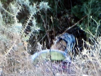 Milas’ta Kadın Cesedi Bulundu