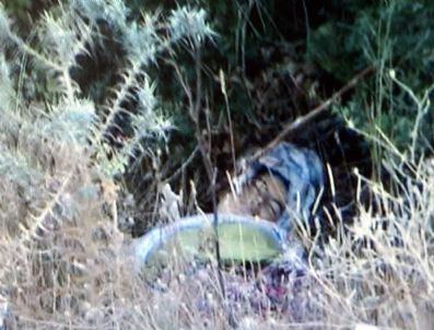 Milas’ta Kadın Cesedi Bulundu