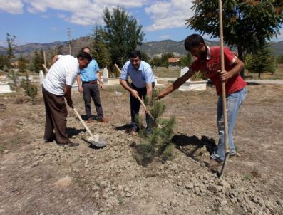 Osmancık Gemici Mezarlığı Ağaçlandırıldı