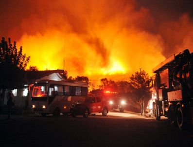 Seferihisar`daki orman yangını