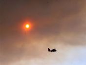 Seferihisar`daki Orman Yangınını Söndürme Çalışmaları Sürüyor