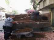 Üzüm Üreticisinin Fiyat Beklentisi