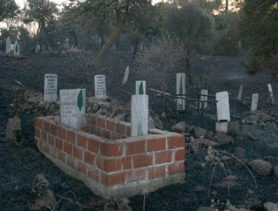 Bergama`daki Orman Yangını Kontrol Altına Alındı