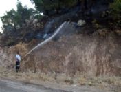 Bergama`daki Orman Yangını