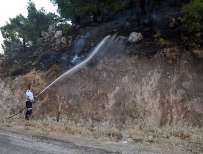 Bergama`daki Orman Yangını