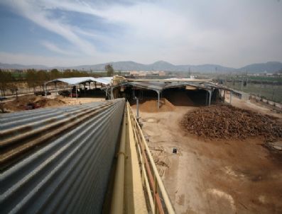 Orma Dev Kuruluşlar Arasında