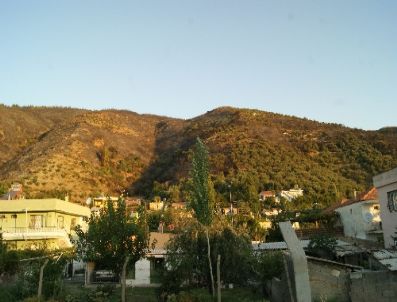 Söke`deki Orman Yangını Tamamen Kontrol Altına Alındı