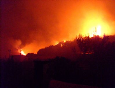 Söke'deki Yangın Kontrol Altına Alındı