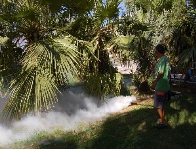 YAŞAR AÇıKBAŞ - Taşucu`nda Sinekle Mücadele Çalışmaları Yoğunlaştı