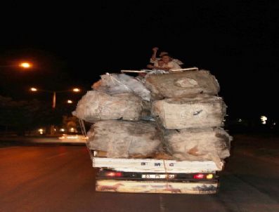 Toplayanların Atık Kadar Değeri Yok!