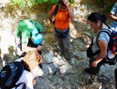 NEOLITIK - Yassıgüme Köyünde Fosil Alanı Bulundu