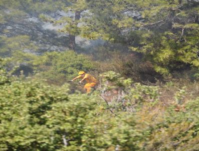 Alanya`da Orman Yangını