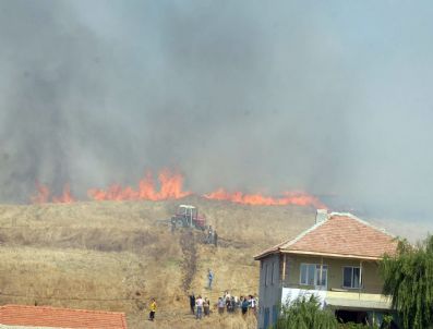 Anız Yangını Ormanlık Alanı Yok Etti