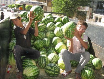 Araban Karpuzu Tanesi 1 Tl`den Satılıyor