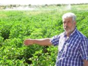 Arabanlı Çiftçiler, Çatboğazı Barajı Çalışmalarının Başlamasını İstiyor