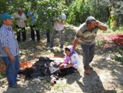 İznik'te kaza: 1 ölü 2 yaralı