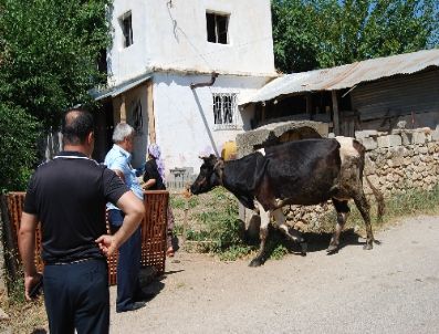 Kozan`da Besiciler Son Kez Uyarıldı