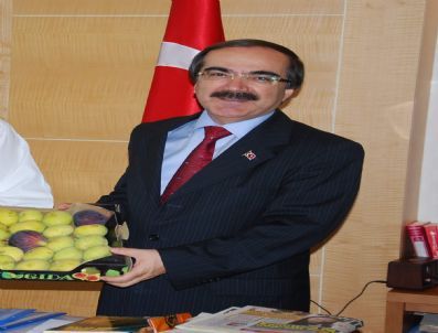 Lys Sonuçları Sevindirdi