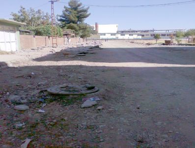 Mahalleyi Fareler Bastı