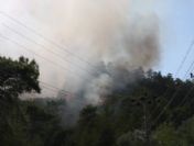 Marmaris`te Orman Yangını