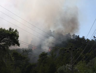 Marmaris`te Orman Yangını