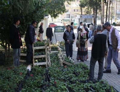 Mezarlıklarda Çiçekler Belediyeden