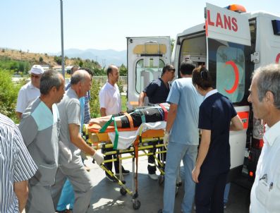 Milas’ta Trafik Kazası: 7 Yaralı