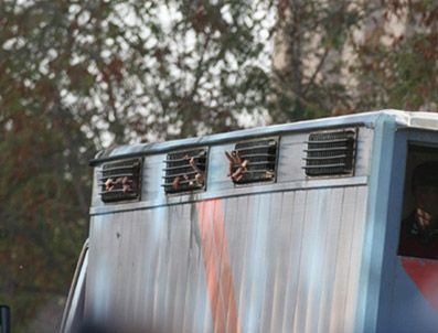 KEMAL AKTAŞ - Savcı Kck davasının naklini istedi