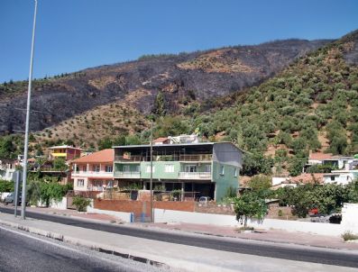 EKREM YıLMAZ - Yangın Bitti Geride İzi Kaldı