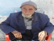 Asırlık Çınar 107 Yaşında Vefat Etti