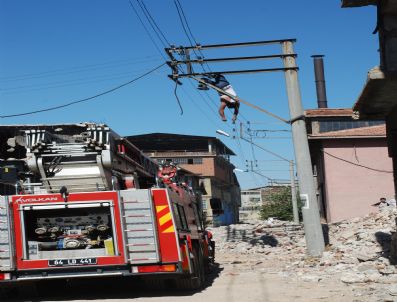 CAFER ŞAHIN - Elektrik Direğindeki Kabloları Kesmek İsteyen Hurdacı Yaşamını Yitirdi