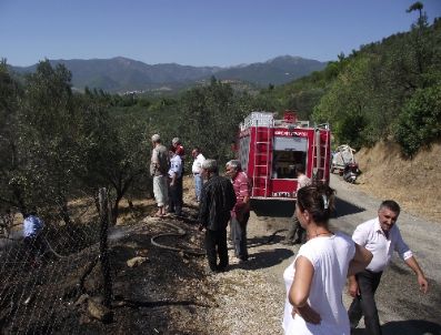 Kıyı Yangını Korkuttu