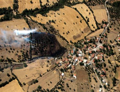 Bahçedeki Otlarla Birlikte Ormanı Da Yakıyordu