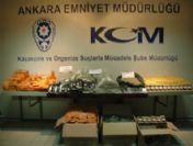 Başkentte Sahte Zayıflama Hapı Operasyonu