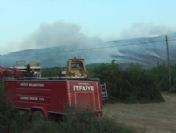 Bilecik`te Orman Yangını