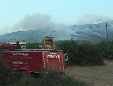 Bilecik`te Orman Yangını