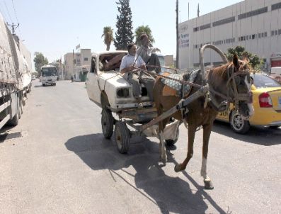 Bu Da Tek Beygirlik Araba