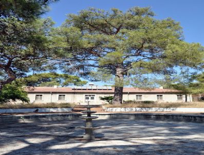 İBRAHIM ÖZEFE - Film Platosu Teknopark Merkezi Oluyor