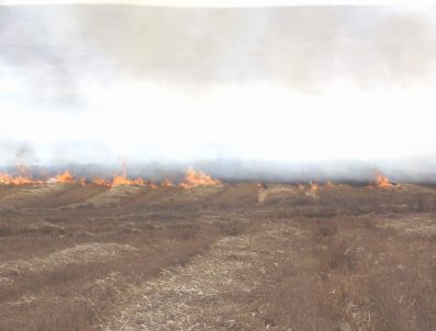 Yozgat`ta Avcılar Anız Yangınlarına Tepkili