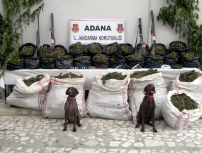 Adana-ankara Hattında Uyuşturucu Operasyonu