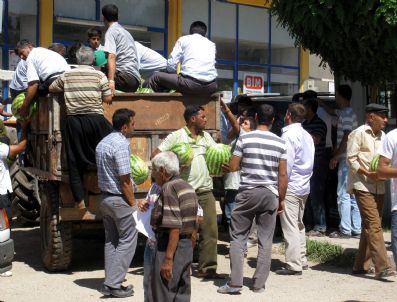 Araban Karpuzunun Tanesi 1 Tl Olunca Kapış Kapış Satılıyor