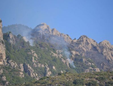 MUĞLA ORMAN BÖLGE MÜDÜRÜ - Datça`da Orman Yangını