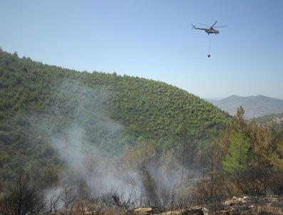 Datça yeniden yanıyor