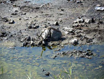 Dereler Kurudu Çöpler Meydana Çıktı