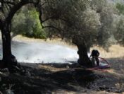 Foça`da Yangın Çıktı